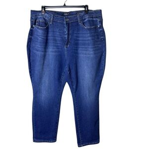 Judy Blue Womens Boyfriend Jeans Size 24W Hi Rise Essential Denim Blue Essential